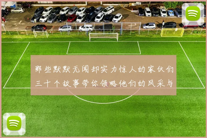 那些默默无闻却实力惊人的家伙们三十个故事带你领略他们的风采与传奇